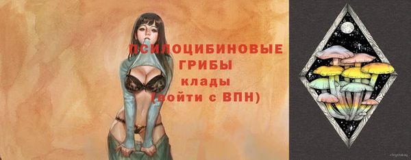 шишки Абдулино