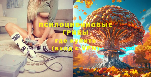 шишки Абдулино