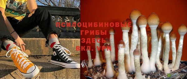 шишки Абдулино
