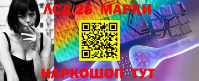 прущие грибы Обнинск