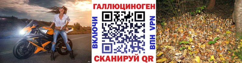 Галлюциногенные грибы GOLDEN TEACHER  гидра онион  Дятьково 