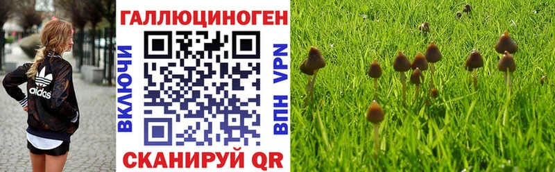 Псилоцибиновые грибы мухоморы Дятьково