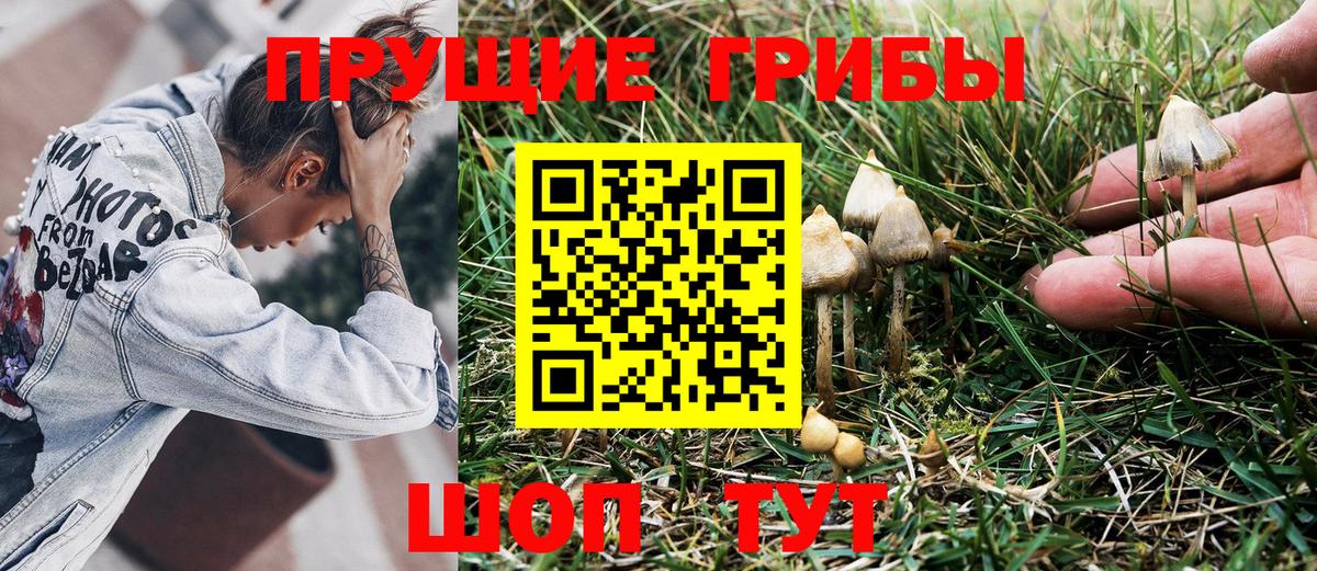 Псилоцибиновые грибы MAGIC MUSHROOMS Дятьково